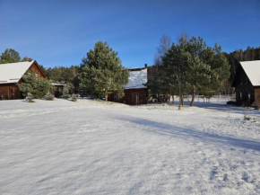 Skrzynia in Skorzenno